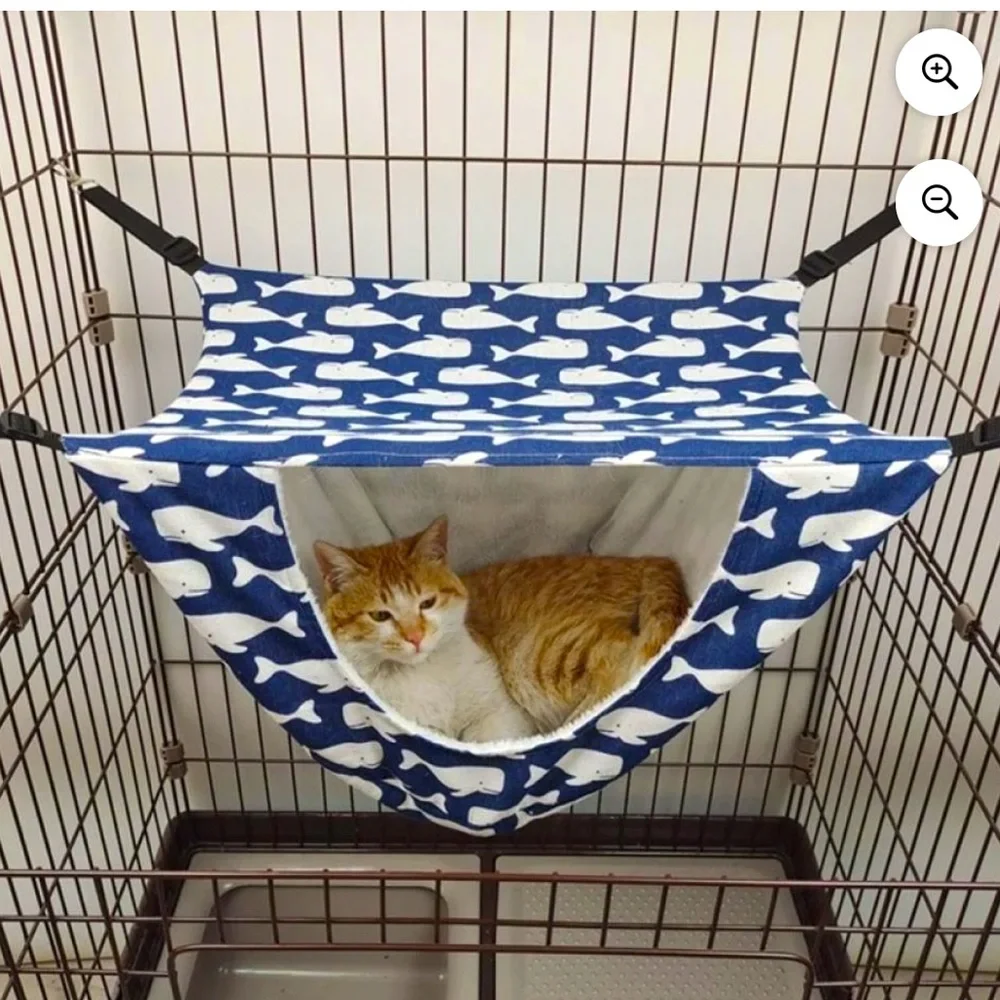 N/A this cat